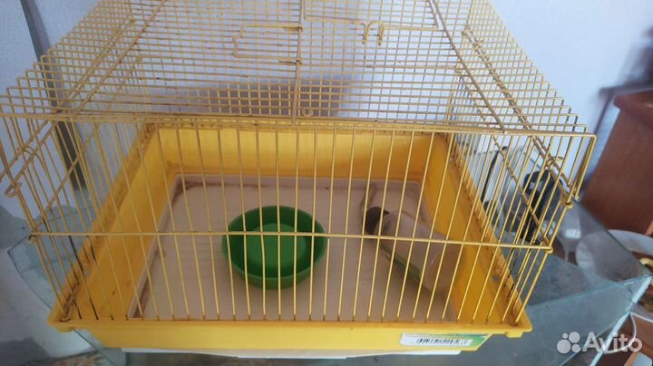 Клетка для крыс