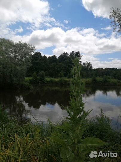 Аренда беседки у пруда