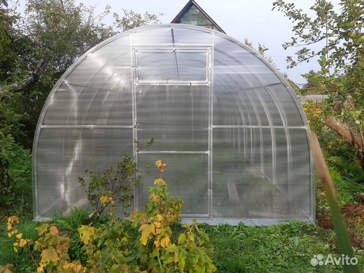Теплица купить