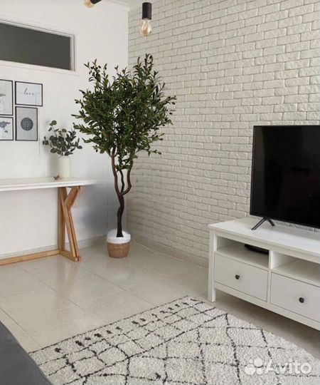 Искусственные растения, фикус- оливка