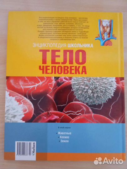 Энциклопедия