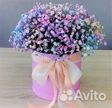 Букет из гипсофилы