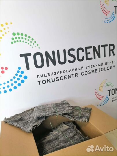 Листовая Ламинария Альганика