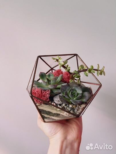 Флорариум с суккулентами