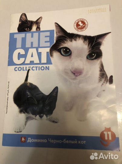 О домашних питомцах