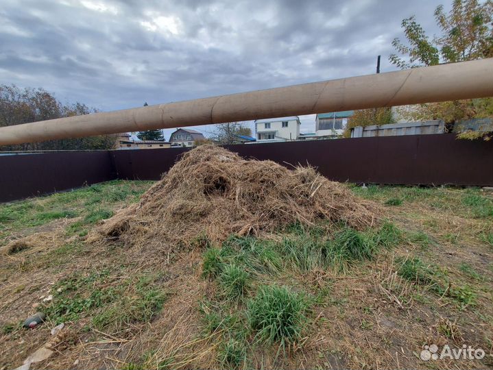 Сено бесплатно- самовывоз