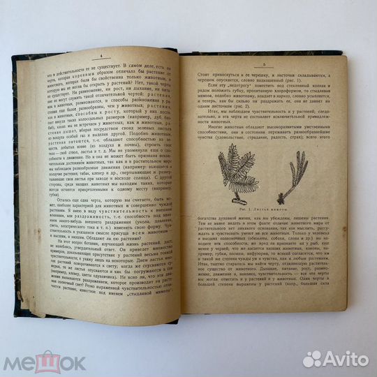 Е.А. Аркин. Физиология человека. 1919 год