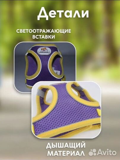 Шлейка для собаки