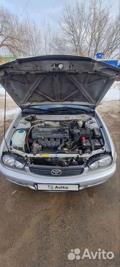 Toyota Corolla, 2000