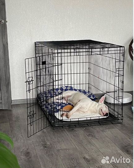 Клетка для собак и кошек вольеры для собак