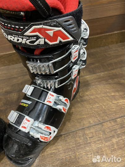 Горнолыжные ботинки Nordica Dobermann 38 100