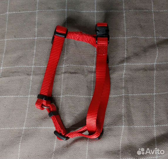 Шлейки,ошейники,поводки,амуниция для собак и тд