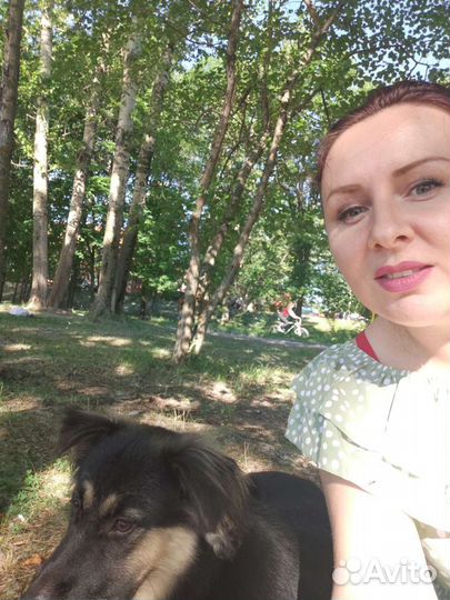 Передержка животных, а также выгул собак Заволга