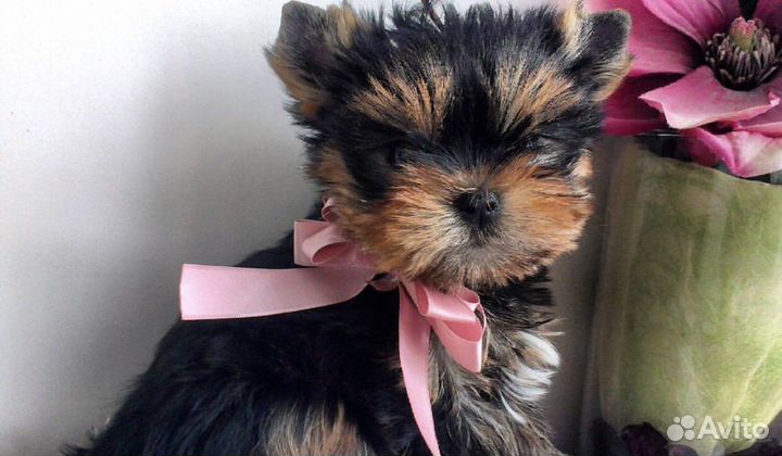 Детки антидепрессантики