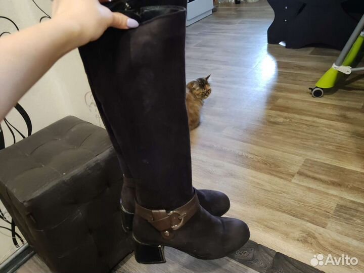 Сапоги женские