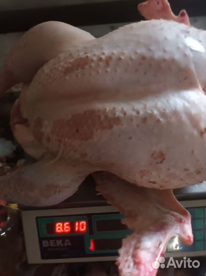 Мясо индейки