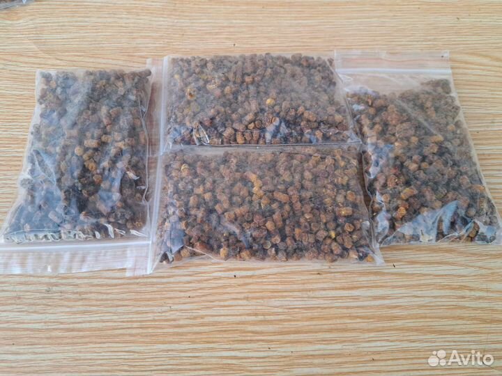 Перга урожай 2023