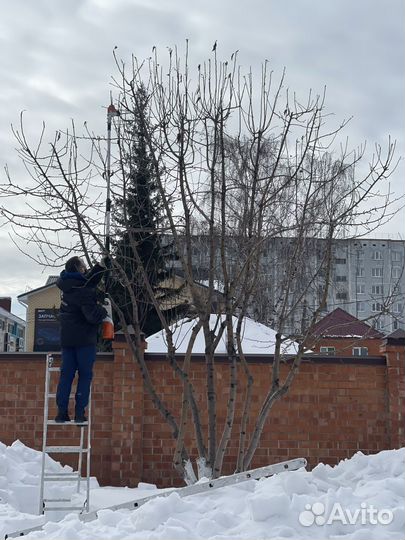 Уход за садом