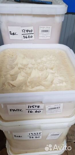 Мёд оптом рапсовый