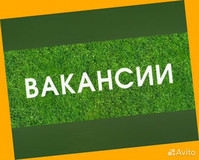 Наборщик заказов Без опыта Еженедельные выплаты