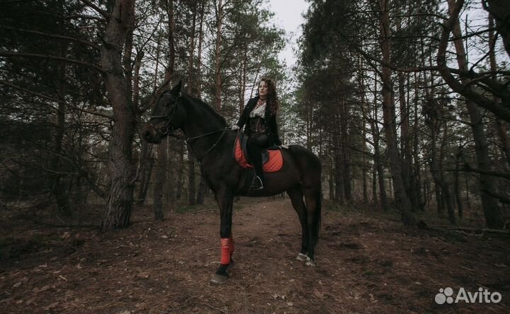 Фотосессии с лошадьми