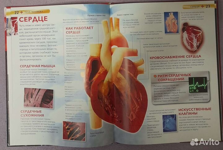 Детские энциклопедии