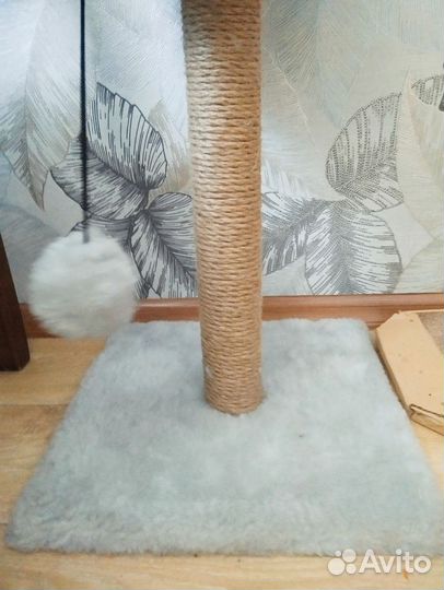 Когтеточка