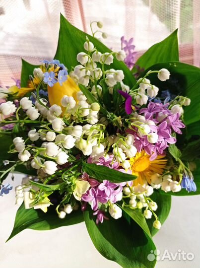 Ландыш садовый саженцы