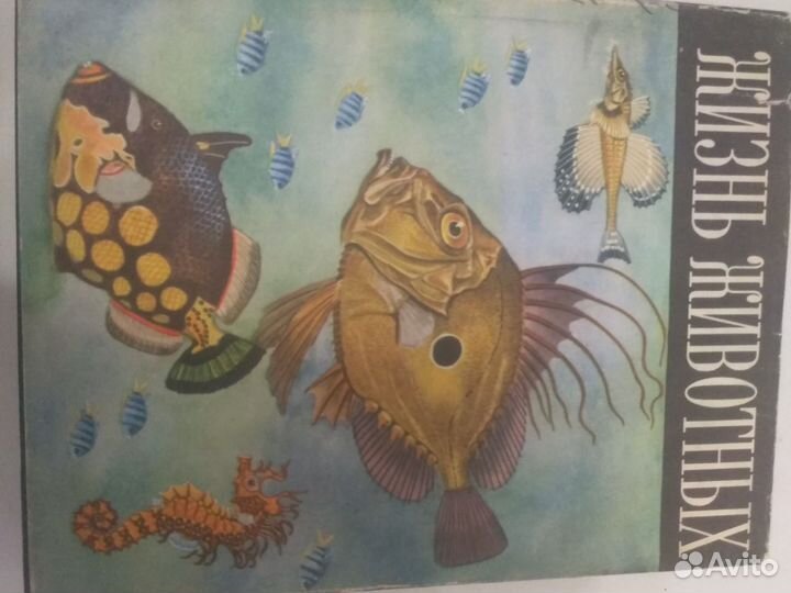 Энциклопедия Рыбы Жизнь животных СССР