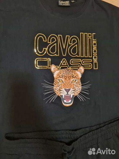 Комплект мужской Cavalli Class на 54- 56