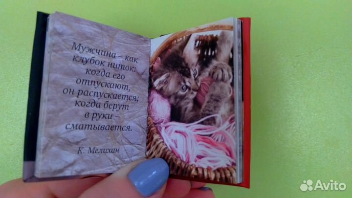 Миниатюрная книга магнит