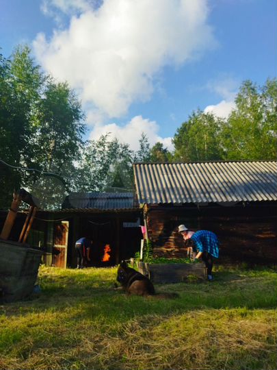 Дача 50 м² на участке 10 сот.