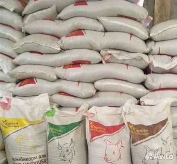 Товары для домашних животных