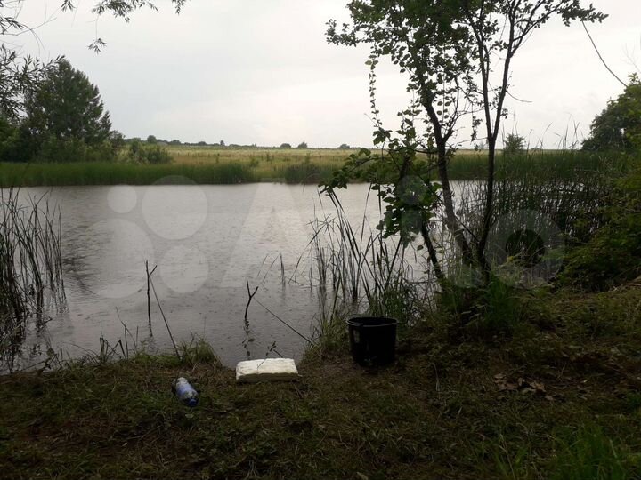 Участок 40 га (СНТ, ДНП)