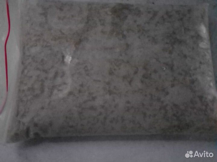 Мотыль,стрептоцифал,артемия,циклоп,коретра,дафния