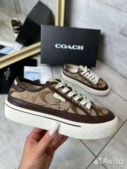 Кеды Coach