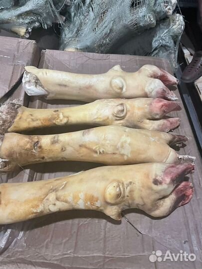 Ноги говяжьи, мясо, говядина