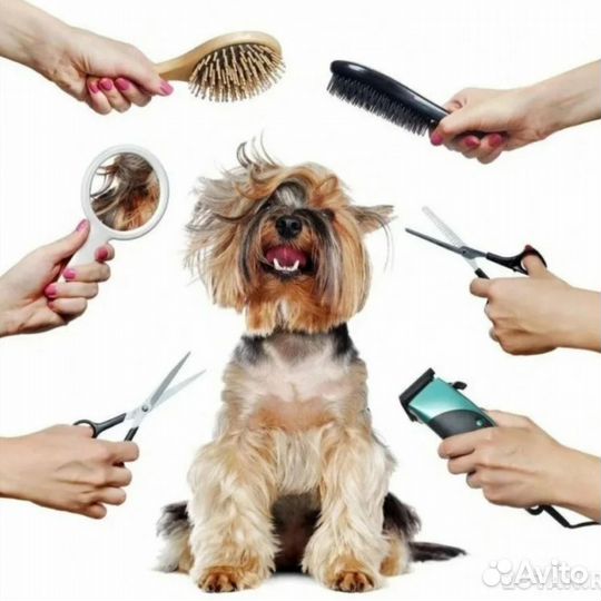 Модели на груминг