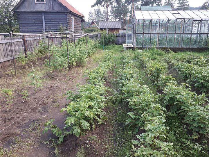 Дом 20 м² на участке 8 сот.