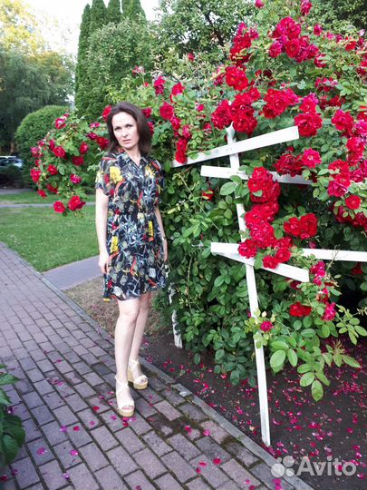 Платье alice + olivia