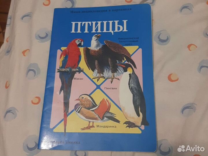 Мини-энциклопедия в картинках