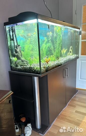 Аквариум с тумбой 500 литров
