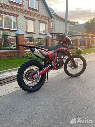 BSE Z10