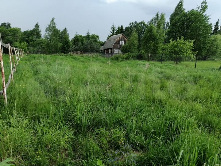 Участок 10 сот. (ИЖС)