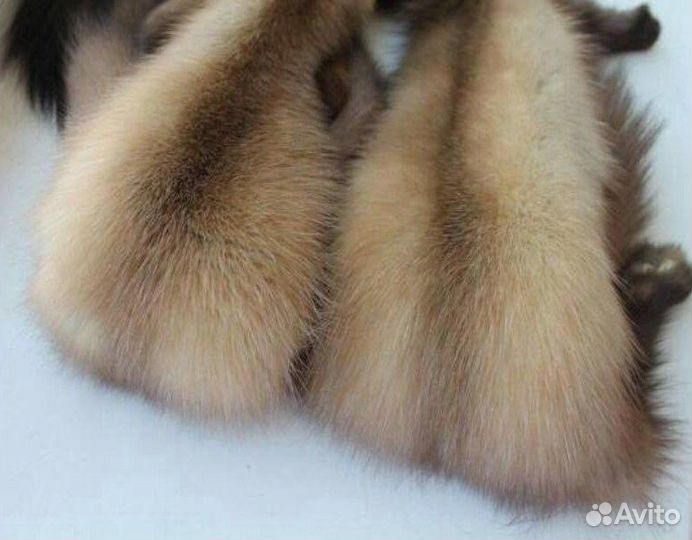 Шкурки куницы / мех куница