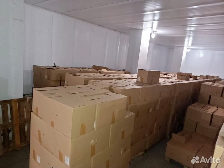 Яйцо куриное опт