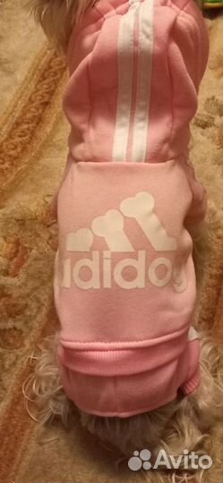 Одежда для собак и кошек xs