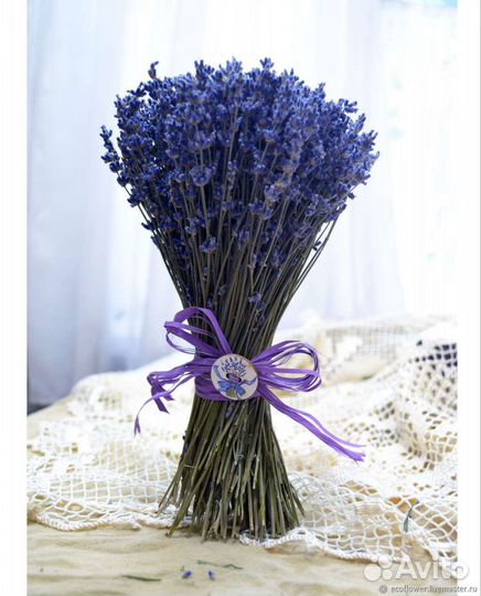 Букет лаванды