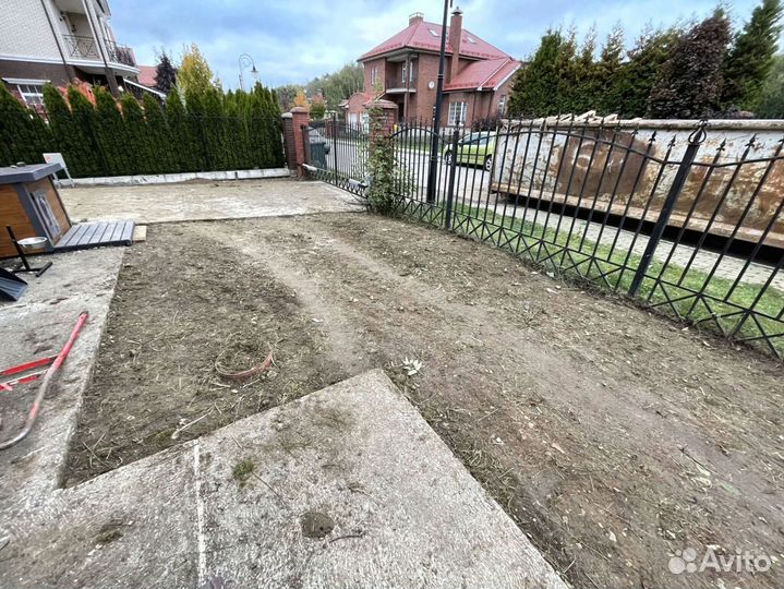 Рулонный газон 