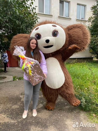 Белый медведь, мишка тедди Аррева